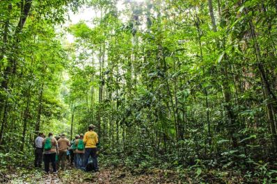 notícia: Governo do Amapá destaca os benefícios do Zoneamento Ecológico-Econômico para o desenvolvimento do estado