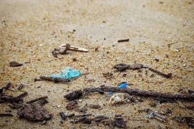 notícia: Ueap integra projeto que avalia presença de microplásticos em praias brasileiras