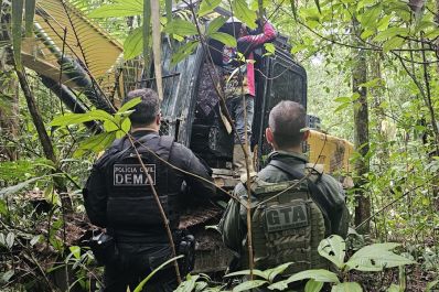 notícia: Governo do Amapá apresenta balanço da operação ‘Protetor dos Biomas’, ação contra crimes ambientais