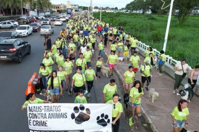 notícia: Governo do Estado reúne mais de 700 pessoas durante 'Cãominhada’, em Macapá 