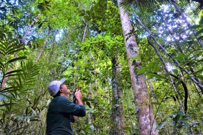 notícia: Governo do Amapá inicia campanha ‘Junho Verde 2024’ no Dia Mundial do Meio Ambiente, em Macapá