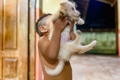 notícia: Governo do Amapá acolhe animais domésticos desabrigados pelas fortes chuvas em Macapá