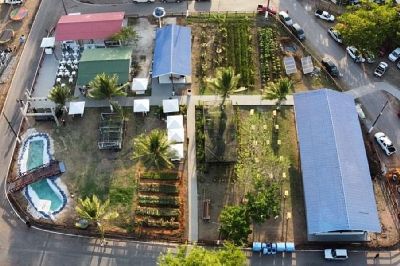 notícia: Governo do Amapá apresenta unidades demonstrativas agroextrativistas para a 53ª Expofeira