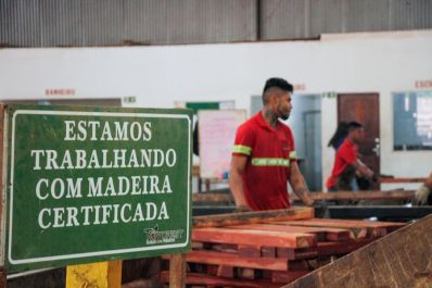 notícia: Governador Clécio Luís visita empresa com modelo inovador de manejo florestal sustentável, em Mazagão 