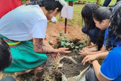 notícia: Governo do Amapá promove educação ambiental e sustentabilidade com projeto 'Aula com cheiro de floresta', em Macapá