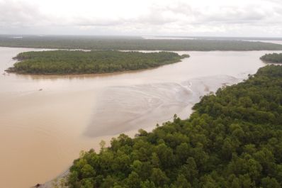 notícia: Governo do Amapá retoma gestão e monitoramento da Reserva Biológica do Parazinho no Bailique, em Macapá