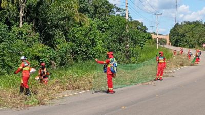 notícia: Festa de São Tiago: Governo do Amapá intensifica manutenção das rodovias AP-010 e AP-020, de acesso a Mazagão Velho