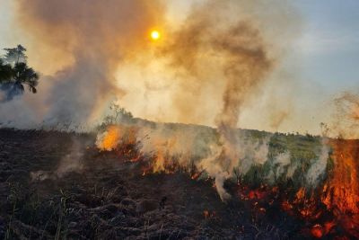 notícia: Operação Amapá Verde: mais de 600 militares do Corpo de Bombeiros atuarão no combate a focos de incêndio