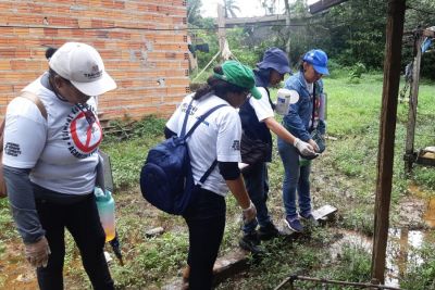 notícia: Governo do Amapá monitora cenário epidemiológico da dengue e orienta população sobre cuidados para evitar a doença