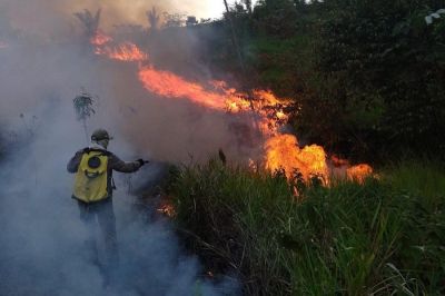 notícia: Governo do Amapá abre inscrições do Processo Seletivo Simplificado para Brigadistas