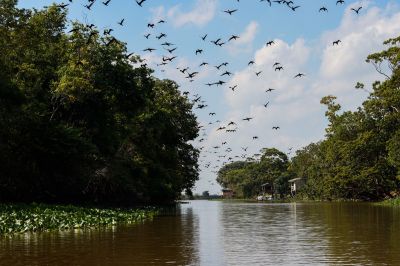 notícia: Amapá irá sediar evento nacional para debater e promover preservação ambiental