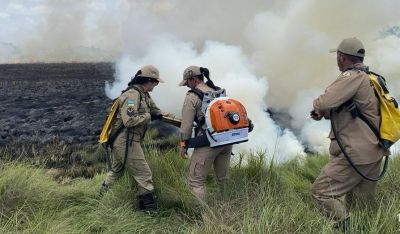 notícia: Operação Amapá Verde: em 20 dias, Governo do Estado atende 12 ocorrências de queimadas e incêndios florestais