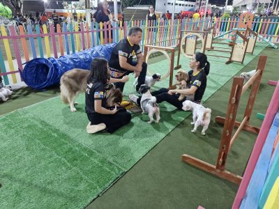 notícia: 'Parcão': atração do Pavilhão Pet incentiva o bem-estar animal na 53ª Expofeira do Amapá 