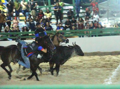 notícia: 53ª Expofeira: vaquejada faz público torcer e vibrar na competição entre 30 vaqueiros