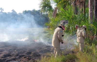 notícia: Operação Amapá Verde: Governo do Estado ativa nova base em Pedra Branca do Amapari para combater aumento da estiagem