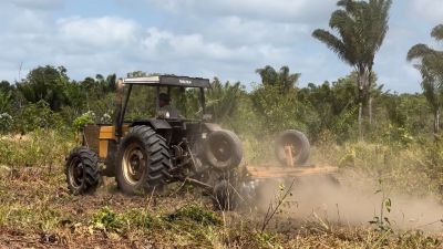 notícia: Amapá mais Produtivo: Governo do Estado inicia preparo de áreas para o plantio de mandioca