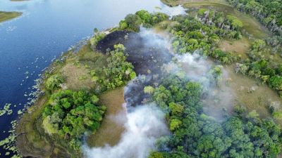 notícia: Com diminuição de 72% em relação a 2023, Amapá lidera ranking de redução de focos de incêndio no país