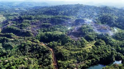 notícia: Equipes da operação Amapá Verde atuam no controle de incêndio florestal em Serra do Navio