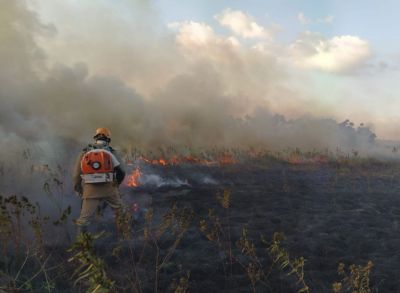 notícia: Amapá adere à política nacional e suspende uso de fogo para combater focos de calor e incêndios florestais