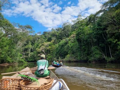 notícia: Governo do Amapá promove 4ª expedição de monitoramento da biodiversidade na Reserva Iratapuru, em Laranjal do Jari