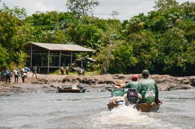 notícia: Expedição inédita do Governo do Amapá realiza coleta de plantas arbóreas na Reserva do Rio Iratapuru, em Laranjal do Jari