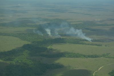 notícia: Governo do Amapá monitora focos de incêndio no Lago do Piratuba e assoreamento no Arquipélago do Bailique