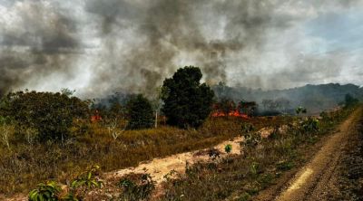 notícia: Governo do Amapá orienta sobre cuidados com a saúde durante a estiagem e queimadas no estado