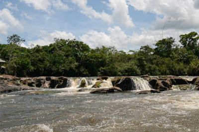 notícia: COP29: política sobre mudanças climáticas potencializa o Amapá como guardião da biodiversidade na Amazônia