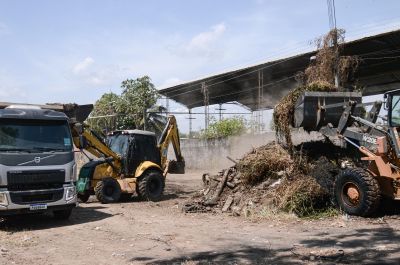 notícia: Governo do Amapá realiza mutirão de limpeza e prevenção contra dengue no bairro Parque Aeroportuário, em Macapá