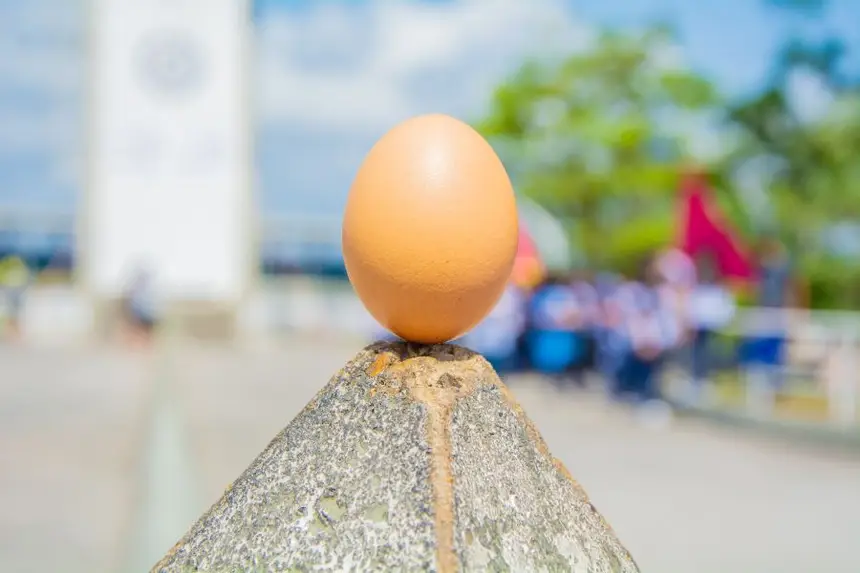 Teste do equilíbrio do ovo é sensação entre visitantes 