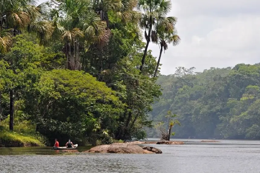 As iniciativas norteiam ações benéficas para o meio ambiente e para quem vive sob a floresta