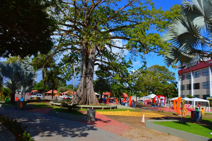  <div class='credito_fotos'>Foto: Jhon Martins/GEA   |   <a href='/midias/2025/originais/20250526125539-GF00016108-F00191367.webp' download><i class='fa-solid fa-download'></i> Download</a></div>
