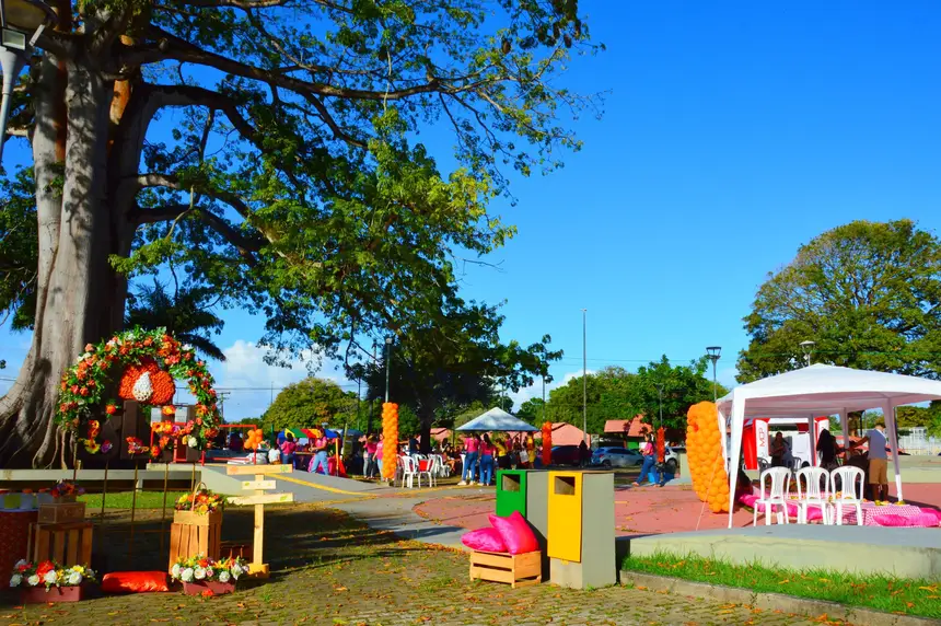  <div class='credito_fotos'>Foto: Jhon Martins/GEA   |   <a href='/midias/2025/originais/20250526125609-GF00016108-F00191376.webp' download><i class='fa-solid fa-download'></i> Download</a></div>