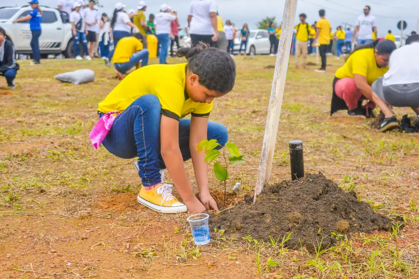  <div class='credito_fotos'>Foto: Maksuel Martins/GEA   |   <a href='/midias/2025/originais/20250620184221-GF00016177-F00193443.webp' download><i class='fa-solid fa-download'></i> Download</a></div>