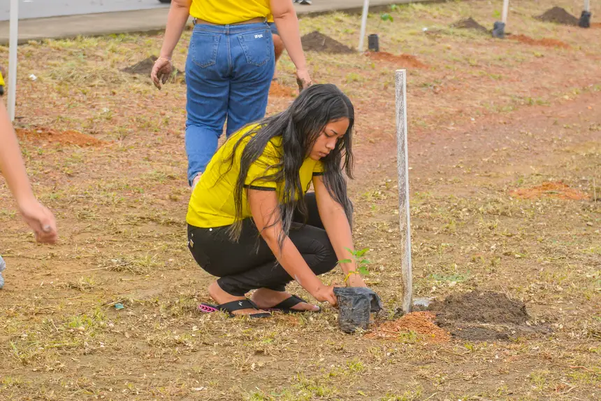  <div class='credito_fotos'>Foto: Maksuel Martins/GEA   |   <a href='/midias/2025/originais/20250620184231-GF00016177-F00193447.webp' download><i class='fa-solid fa-download'></i> Download</a></div>