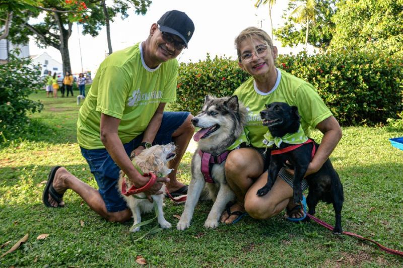 A promoção da saúde e bem-estar animal foi amplamente trabalhada no Estado