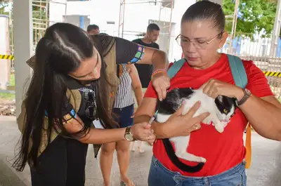 notícia: Governo do Amapá realiza ação preventiva de saúde para pets de famílias beneficiadas do Residencial Nelson dos Anjos, em Macapá 