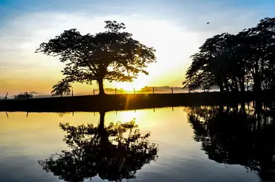 notícia: Amapá ganha destaque no setor turístico com inclusão de Tartarugalzinho no Mapa do Turismo Brasileiro