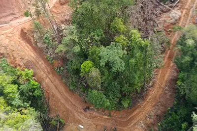 notícia: Governo do Amapá identifica causa da contaminação do Rio Cupixi em Porto Grande e mobiliza força-tarefa para conter danos