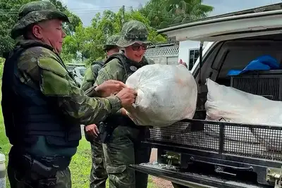 notícia: Defeso Seguro: operação de fiscalização já apreendeu mais de 1,4 toneladas de pescado proibido no Amapá