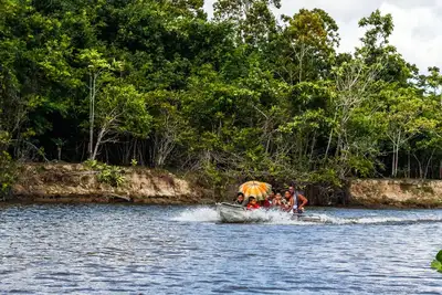 notícia: Governo do Amapá lança edital para eleição de novos membros do Conselho Estadual de Meio Ambiente 