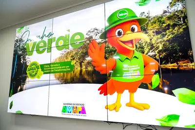 galeria:  Sansão da PL do PCCR Grupo Meio Ambiente