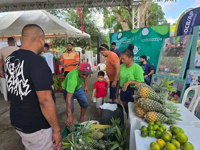 notícia: Governo do Amapá promove Feira do Produtor Rural durante festividades de São Tiago, em Mazagão Velho
