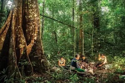 notícia: Governo do Amapá busca certificação da Reserva de Desenvolvimento Sustentável do Rio Iratapuru em programa de conservação internacional