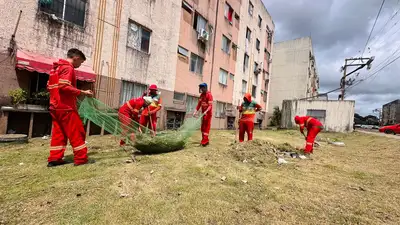 notícia: Governo do Amapá realiza limpeza e retirada de entulho no Residencial Jardim Açucena, na Zona Sul de Macapá